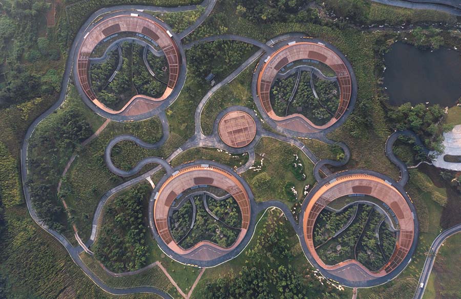 Panda Pavilion: A Blend of Conservation and Education